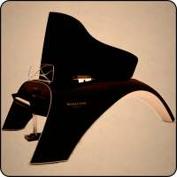 Musical Notes