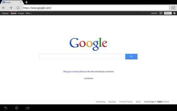 Rapid Browser Pro screenshot 8
