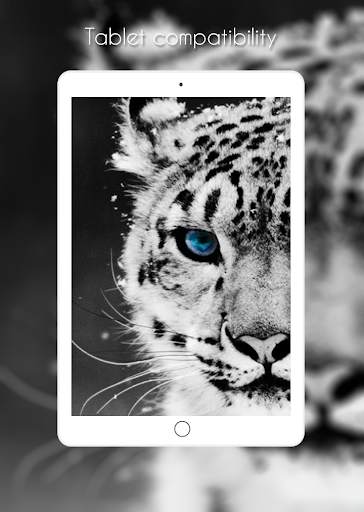 Leopard Wallpaper screenshot 10