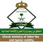 MOI KSA E Services on 9Apps