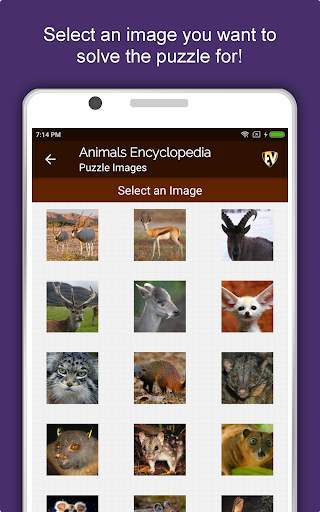 Animal Encyclopedia Complete Reference Guide Free screenshot 15