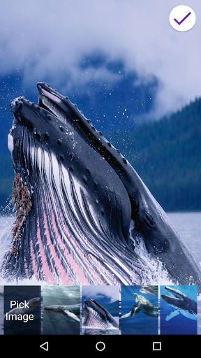 Blue Whale Lock Screen screenshot 7