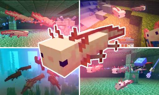 Axolotls Mod for Minecraft PE screenshot 2