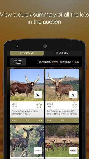 Stud Game Breeders screenshot 5
