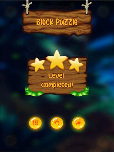 Block Puzzle - Hexa! Block Puzzle screenshot 16