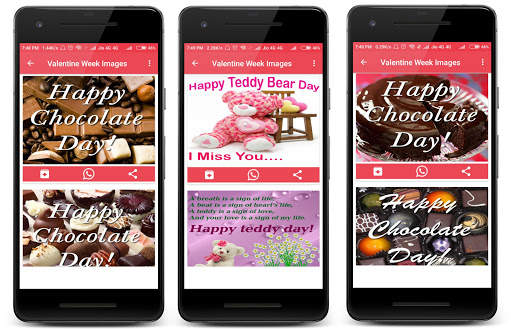 Valentine Day Special screenshot 2