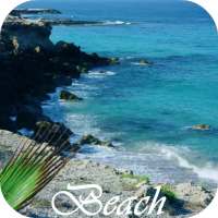 Beach Video Live Wallpaper
