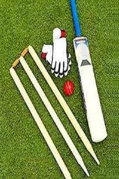 Cricket screenshot 1
