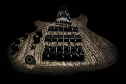 Bass-Gitarre-Unterricht screenshot 4