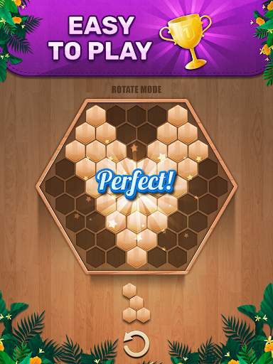 Wooden 100 Block Puzzle - Classic Wood Brain Game screenshot 8