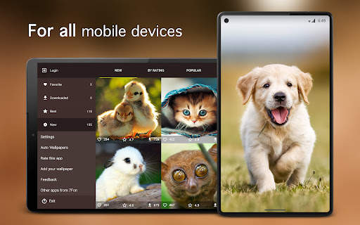 Cute Animal Wallpapers 4K screenshot 6