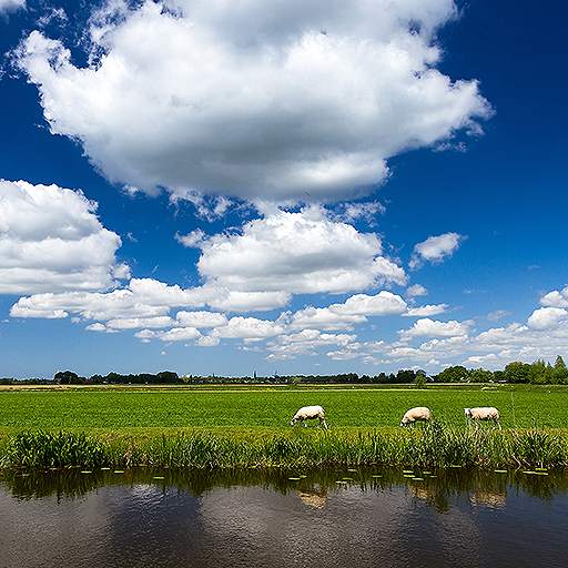 Weather in Holland: the app 12.1