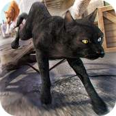3D Cat Simulator Game For Free 1.0.1