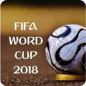 FIFA WorldCup Update 8.0