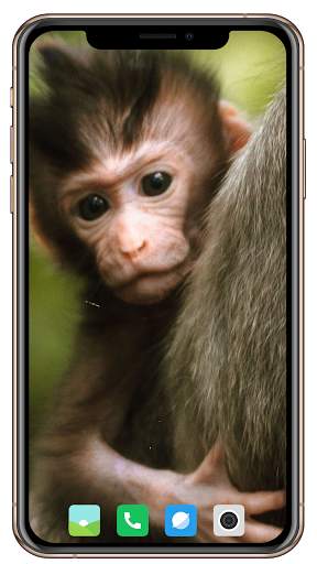 Monkey Wallpaper screenshot 7