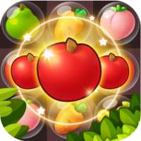 Fruit Bubble Boom