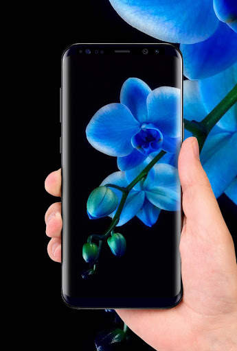 Orchids 3D Free Live Wallpaper screenshot 8