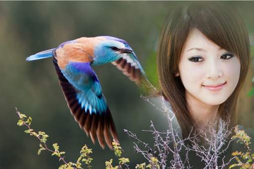 Photo Frame Pro screenshot 1