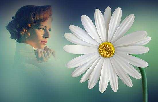 Daisy Flower Photo Frames screenshot 2