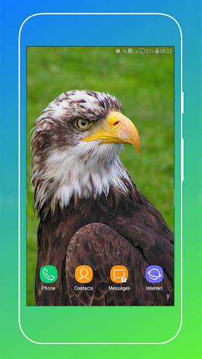 HD Eagle Wallpaper screenshot 6