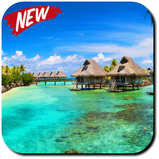 Sea Wallpapers icon