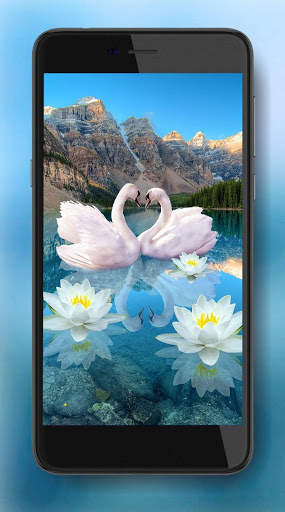 Lotus and Swan Live Wallpaper screenshot 3