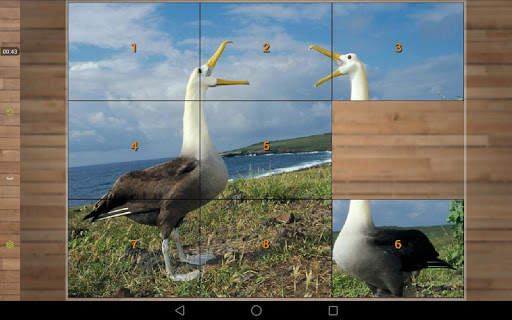 Bird Puzzle Games screenshot 9