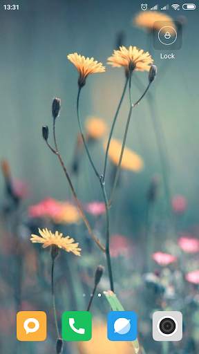 Dandelion Wallpaper HD screenshot 6