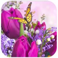 Flower Live Wallpaper Dancing Butterfly on 9Apps