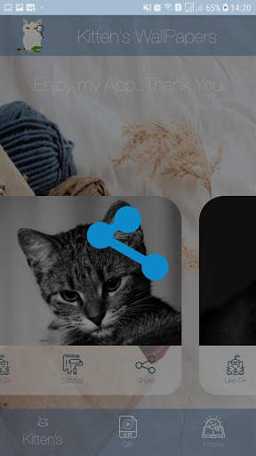 Fotos Fofas de Gatinhos para Papel de Parede screenshot 3