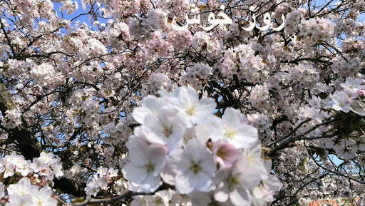 صبح بخیر v4 screenshot 3
