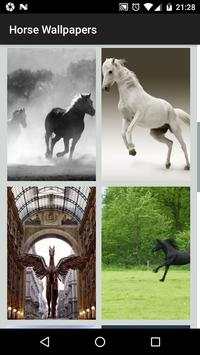 Horse Wallpaper HD - Horse Backgrounds screenshot 1