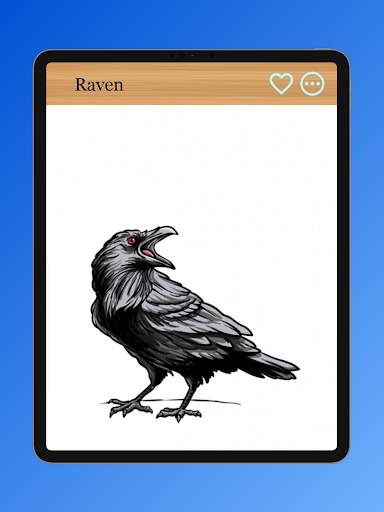 How to Draw Birds of Prey screenshot 15