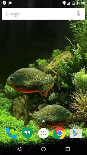 3D Fish Aquarium Wallpaper HD screenshot 8