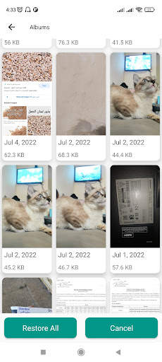 Deleted Photo & Video Recovery screenshot 3