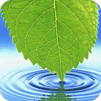 Leaf Wallpaper HD logo