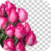 Remove Background 1.0.0
