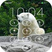 Polar Bear Wallpaper 1.0