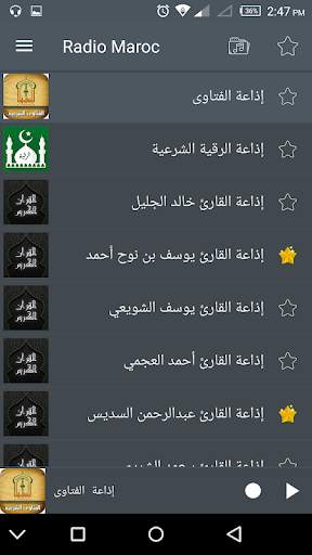 Radio Maroc Light screenshot 3