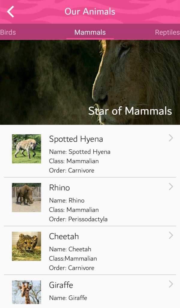 Dubai Safari screenshot 5