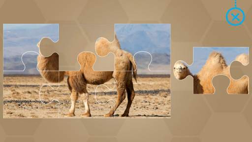 Animals for Kids - Flashcards, Puzzles & Sounds screenshot 18