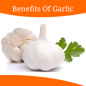Health Benefits Of Garlic icon