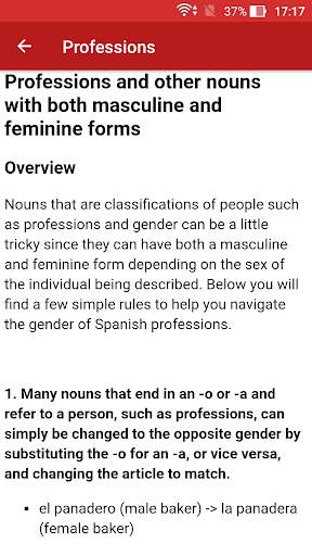 Spanish Grammar Offline screenshot 5