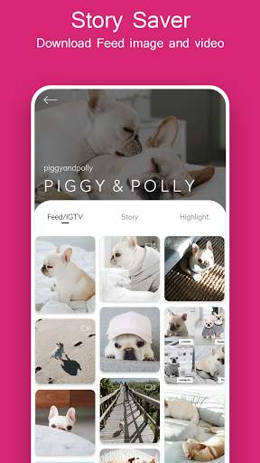 Story Downloader for Instagram screenshot 1