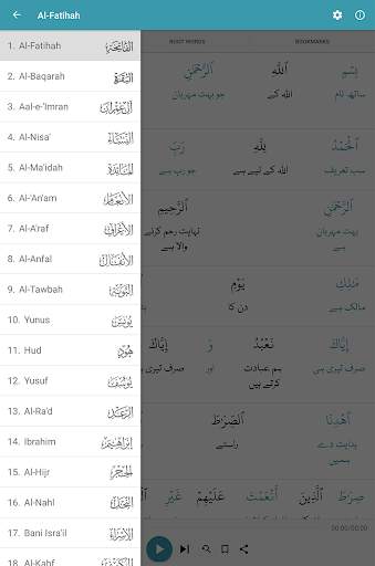 Learn Quran скриншот 11