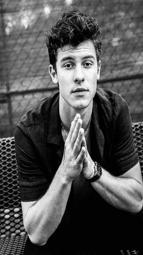 Shawan Mendes Hoyi Wallpapers screenshot 7