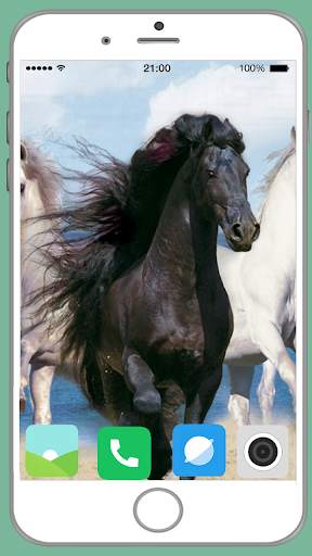 Horse Full HD Wallpaper screenshot 1