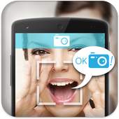Voice Camera 1.1