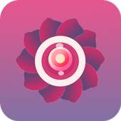 Art Camera 1.0.8