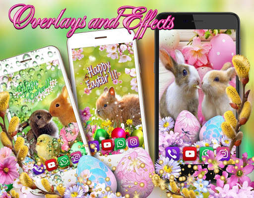 Easter Bunny Live wallpaper screenshot 6